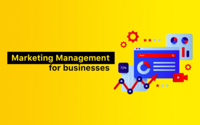 Marketing Management for businesses: How does it Work?