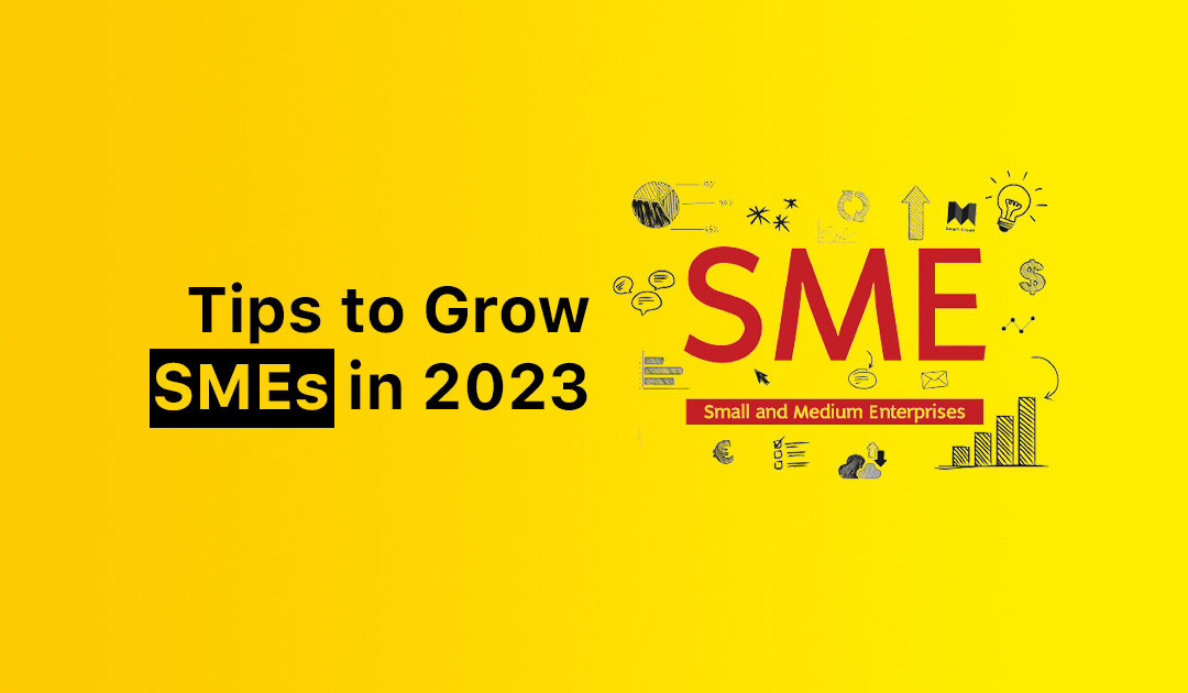 What is SME? Tips to Grow SMEs in 2023